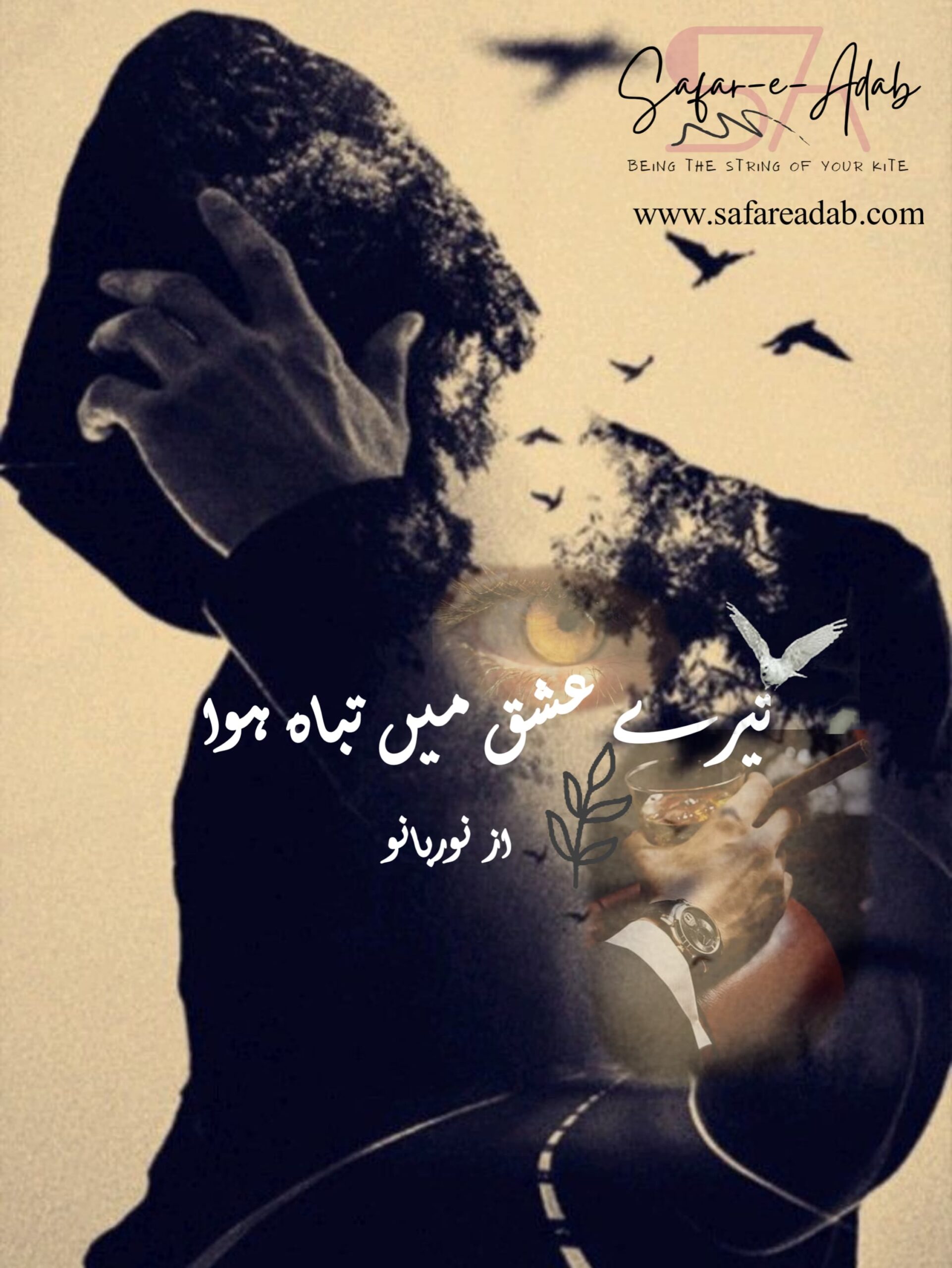 read tere ishq me tabah hua urdu novel in pdf for free on safar-e-adab