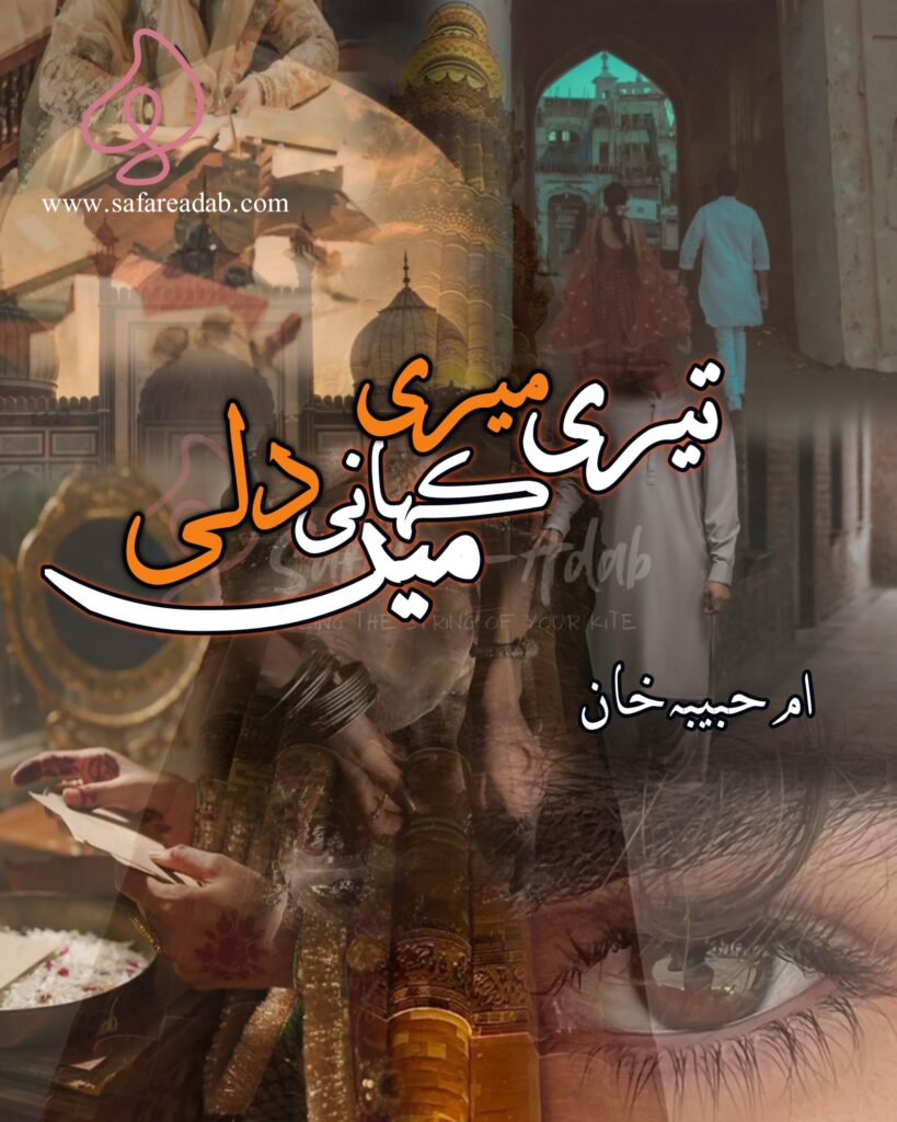 Cover of the Urdu novel titled Teri Meri Kahani Dilli Me written by Umme Habiba Khan, featuring a couple, available to read online for free on the website of Safar e adab publications.