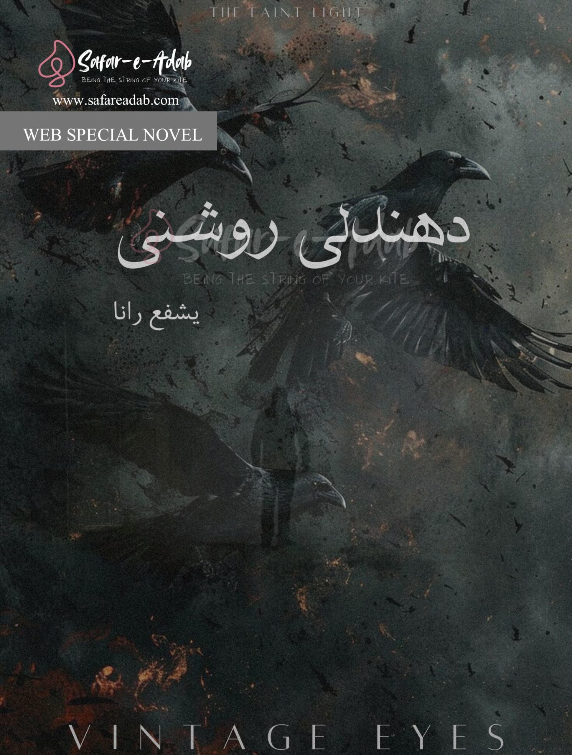 Dhundli Roshni (Web Special Novel)