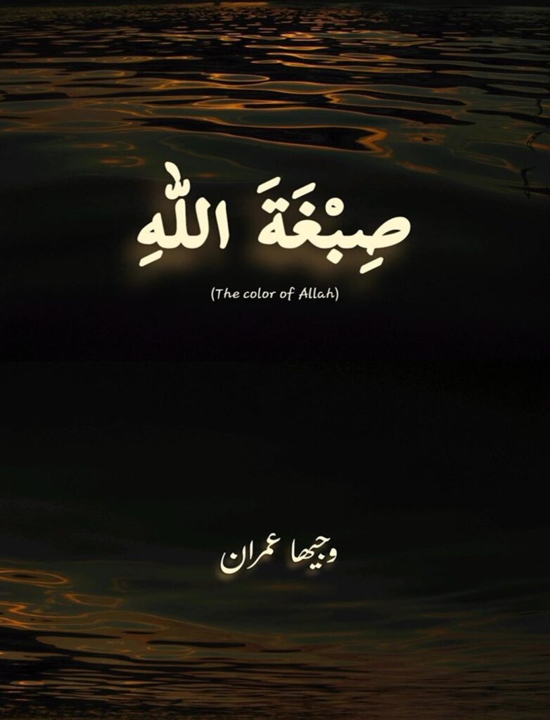 Cover of the Urdu novel titled Sibghat Allah  written by Wajeeha Imran, featuring a river, available to read online for free on the website of Safar e adab publications.